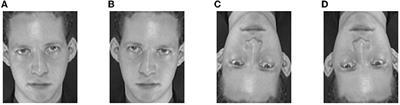 Face Recognition in Single Sample Per Person Fusing Multi-Scale Features Extraction and Virtual Sample Generation Methods
